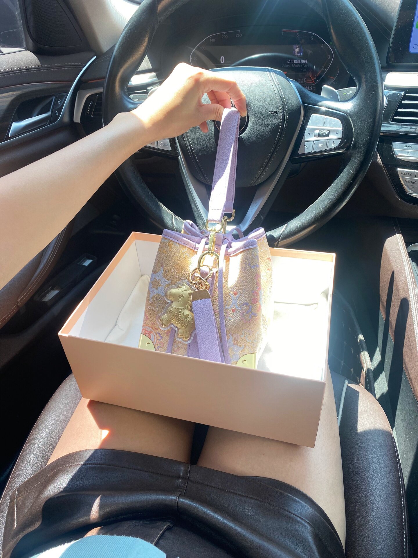 Luxury and Unique Handheld Buc - Women Bags Golden recension och pris